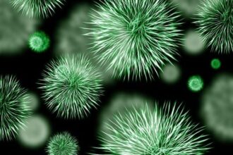 amr-antimicrobial-resistance