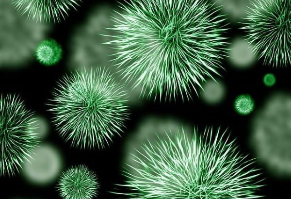 amr-antimicrobial-resistance