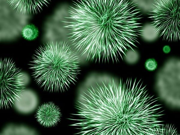 amr-antimicrobial-resistance