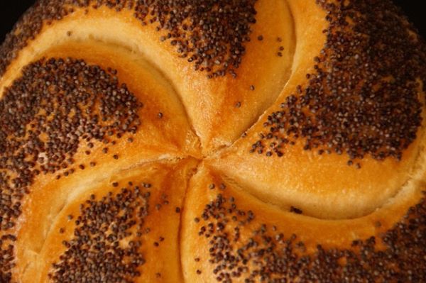 Industrial-starch-real-dangerous-carbohydrate