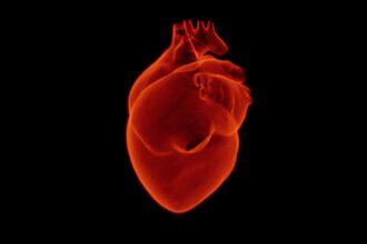 Discover-top-AI-companies-in-preventive-heart-health
