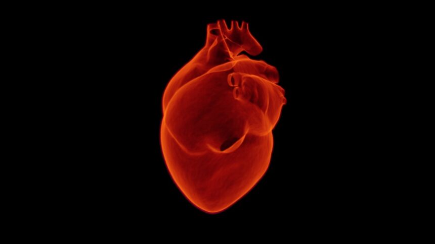 Discover-top-AI-companies-in-preventive-heart-health